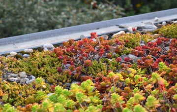 the cost of Penkridge green roof installation