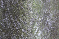 Penkridge fibreglass roof work